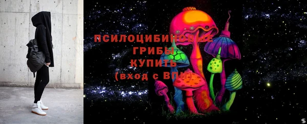 индика Беломорск