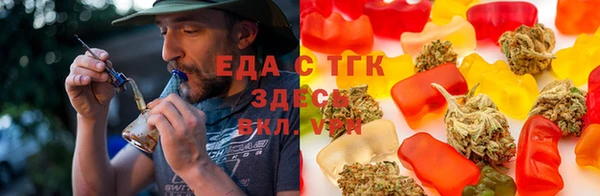 индика Беломорск