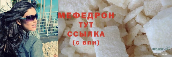 индика Беломорск