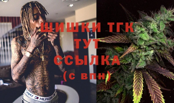 ALPHA-PVP Богородицк