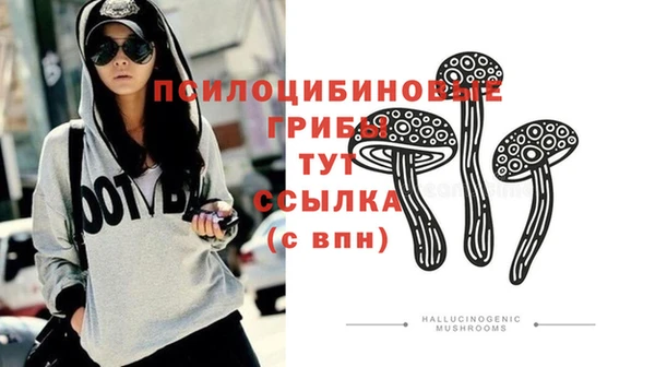индика Беломорск
